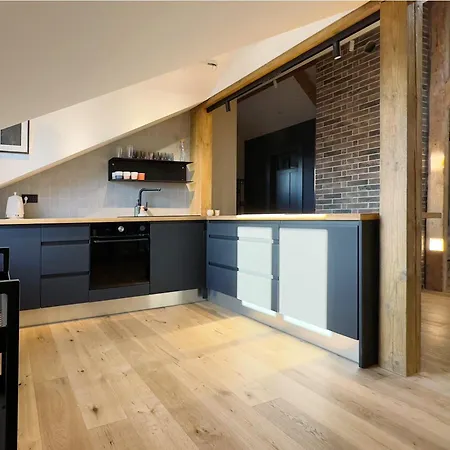 Kurshu Mansards - Modern Loft شقة لييبايا