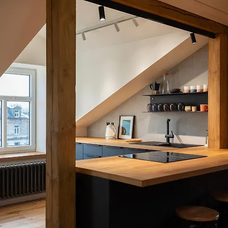 Kurshu Mansards - Modern Loft