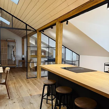 Kurshu Mansards - Modern Loft شقة *